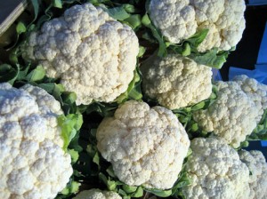 planter des choux fleurs