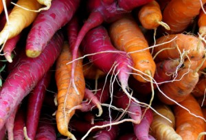 conservation des carottes