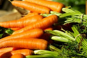 quand semer les carottes