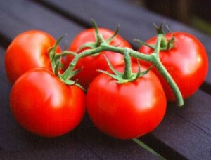 taille des tomates