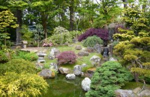 jardin japonais