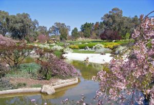 jardins japonais